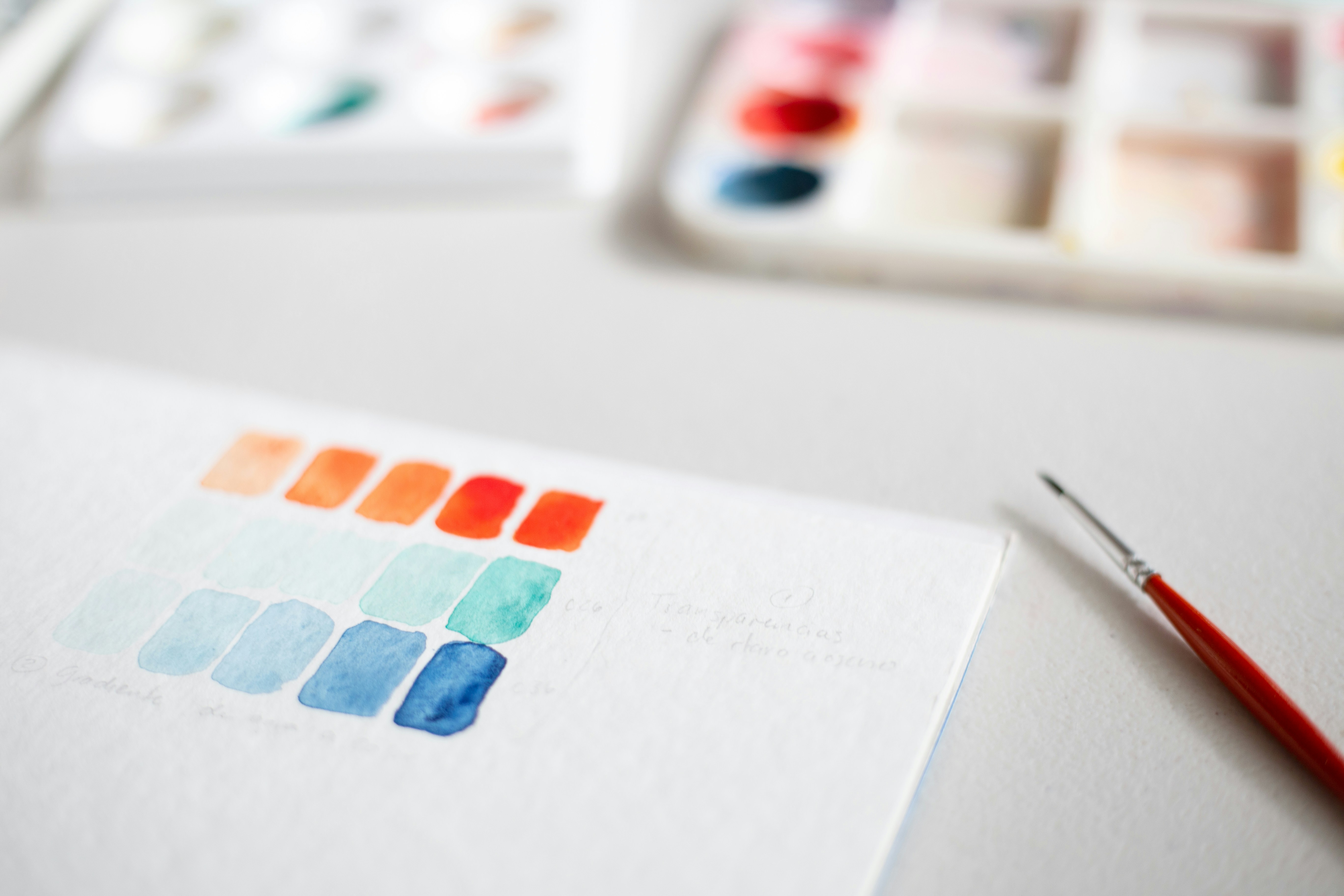 Web Design & UI/UX